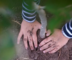 Reforest Fun For Africa - Weekend Update Week 19